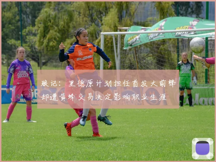 狼记：里德原计划担任首发大前锋却遭黄蜂交易决定影响职业生涯